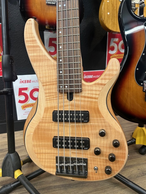 YAMAHA TRBX605FMの画像